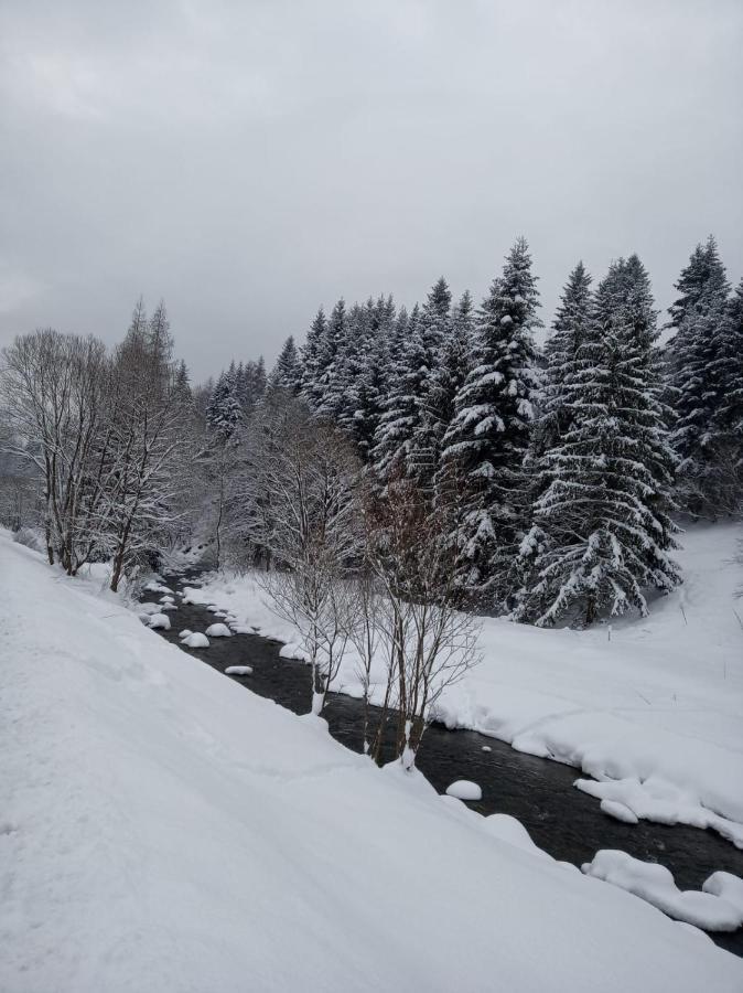 Agroturystyka Oblica Zawoja Esterno foto