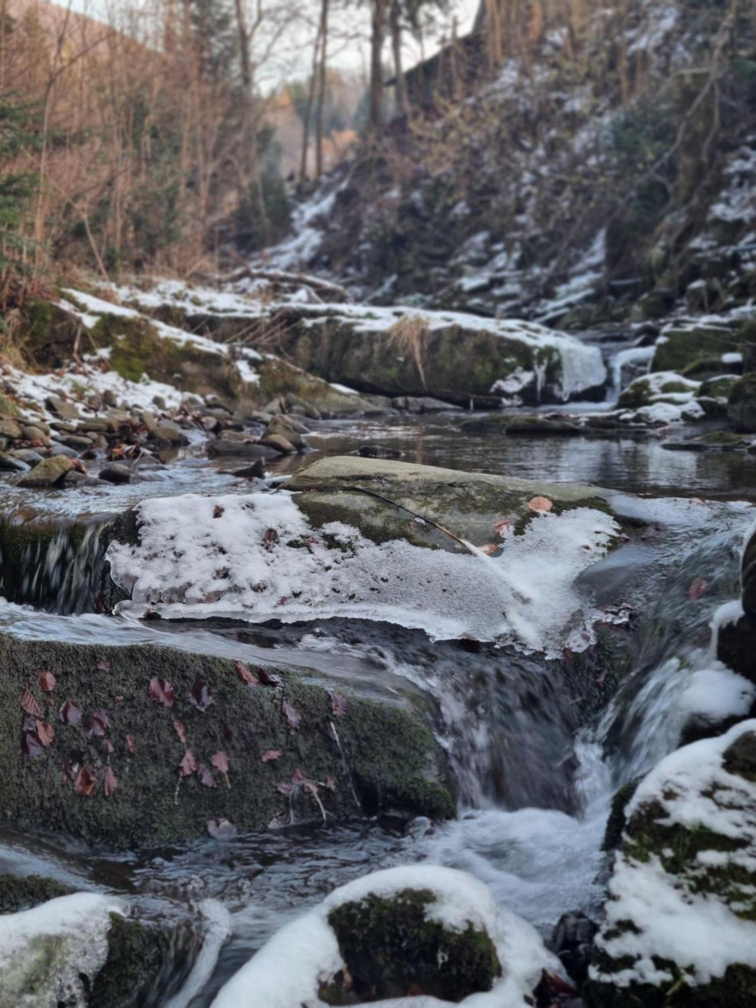 Agroturystyka Oblica Zawoja Esterno foto