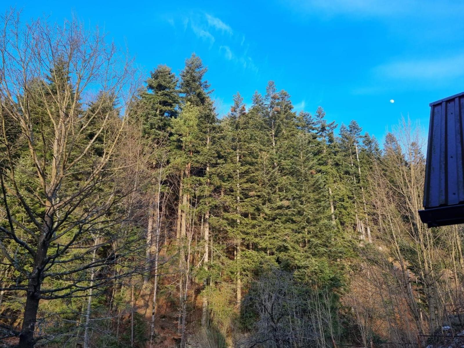 Agroturystyka Oblica Zawoja Esterno foto