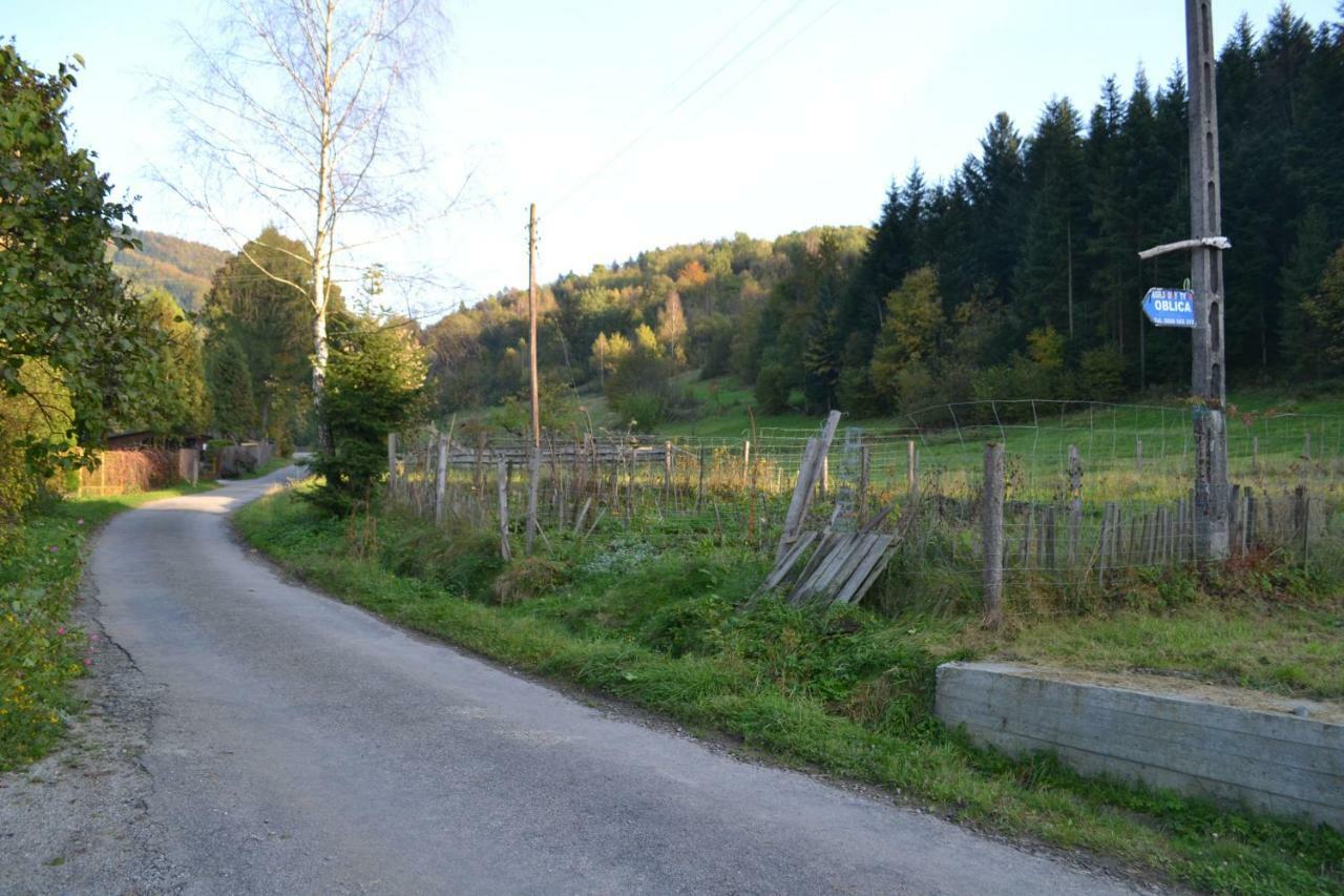 Agroturystyka Oblica Zawoja Esterno foto