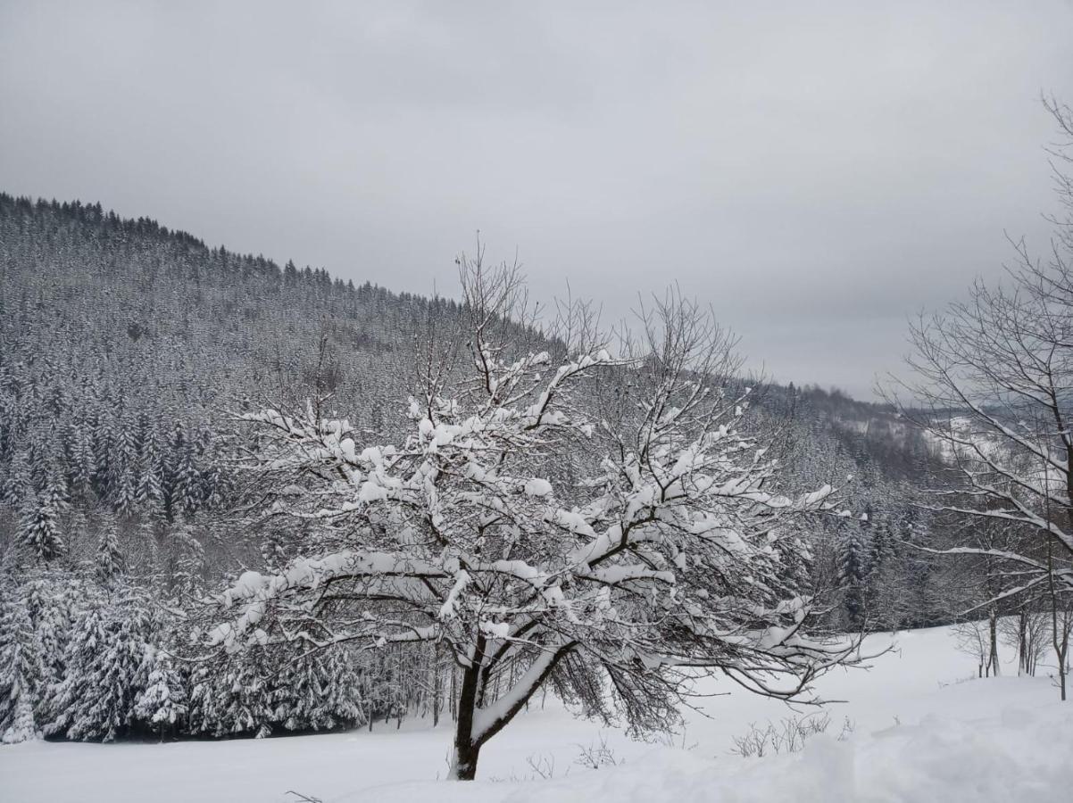 Agroturystyka Oblica Zawoja Esterno foto