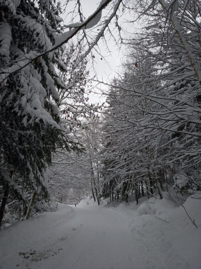 Agroturystyka Oblica Zawoja Esterno foto